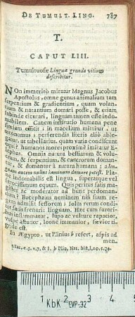Caput LIII. Tumultuosæ Linguæ grande vitium describitur.