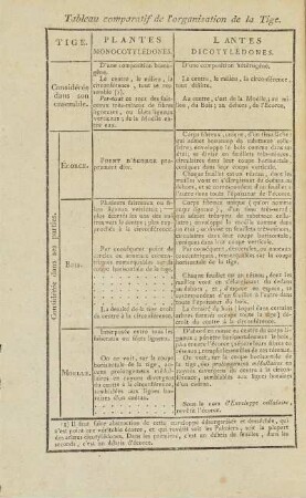 Tableau comparatif de l'organisation de la Tige.