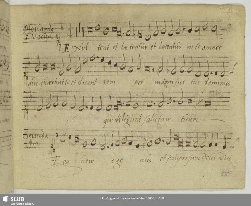 Meiland, Jakob: Exsultent et laetentur in te omnes