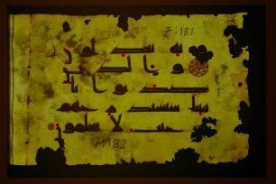 alternative Aufnahme farbig [14]v