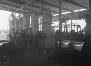 Muschelverarbeitung : Arbeiter verarbeiten Muscheln