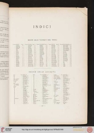 Indici delle tavole e del testo