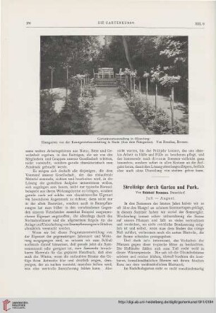 13: Streifzüge durch Garten und Park, [7]