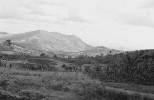 Kulturlandschaft nahe der Stadt Gamo (Äthiopienreise 1937/1938 - 3. Fahrt: von Addis Abeba nach Mogadischu und zurück)