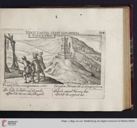 D4. Sohneck am Rhein, "Venit fastus, venit ignominia"