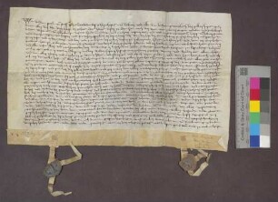 Peter von Stoffeln, Komtur zu Beuggen, verkauft mit Konsens des Landkomturs Wolfram von Nellenburg an Konrad Bannwart zu Laufenburg den Fronhof zu Minseln, von dem der Kommende jährlich 24 Viernzel Korn, zwölf Hühner und hundert Eier fallen.