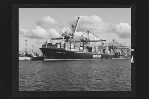 Dresden Express (1991), Containerschiff, Hamburg-Amerikanische Packetfahrt-Actien-Gesellschaft, Hamburg, Bau-Nr. 1077