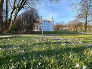 Ahrensburg: Herrenhaus (Museum Schloss Ahrensburg): Gartenseite, davor Wiese mit Krokusblüten im Frühjahr