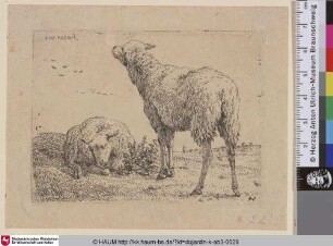 [The two Sheep; Two Sheep; Les deux moutons; Zwei Schafe]