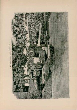 The graet fish-market of Tokio