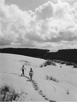 Frankreich. Hex und Eva an der Dune du Pilat, der größten Wanderdüne Europas, gelegen an der Atlantikküste bei Arcachon