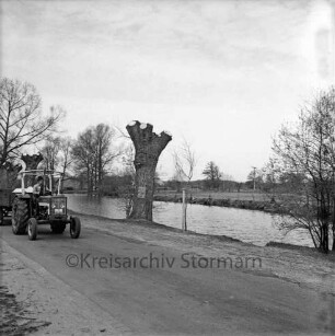 Teichstraße: Traktor mit Anhänger: rechts Dorfteich [Weberteich]: Uferbäume nach Beschneiden: im Hintergrund Felder, Bäume
