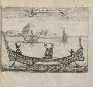 Fig. XXI. Ballon des gentils. Hommes