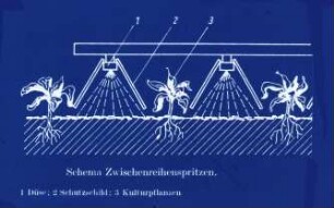 Schema Zwischenreihenspritzen