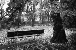 Herbstlicher Schlossplatz