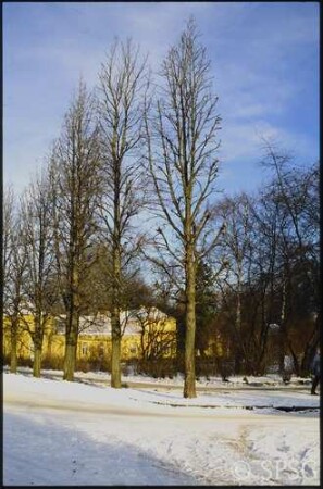 Potsdam, Park Sanssouci, Allee an Grünen Gitter im Winter.