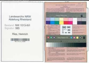 Entnazifizierung Heinrich Ries , geb. 13.04.1898 (Kraftfahrer)