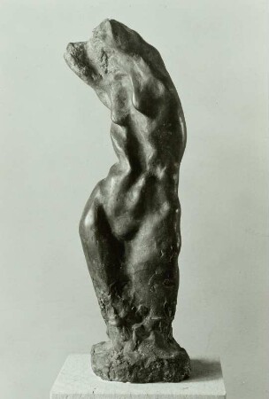 Torso V