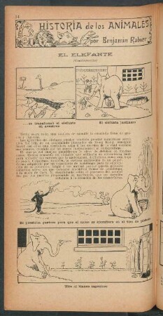 El elefante - (Continuación) : Historia de los animales