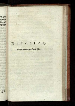 Insecten.