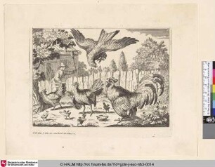 [Ein Raubvogel versucht Hühner und Küken anzugreifen; A bird of prey tries to attack chickens and chicks]