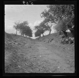 [zwischen Cléry-sur-Somme und Maurepas (beide Dep. Somme, Frankreich):] Hohlweg mit Blick nach Norden