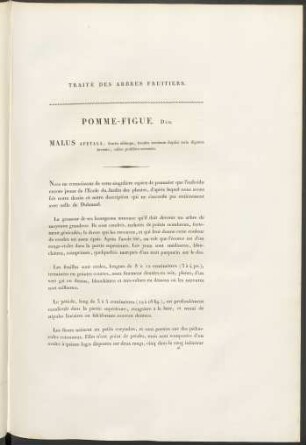 Pommw-Figue. Duh. Malus Apetala ...