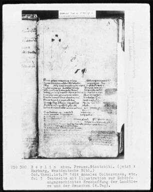 Annales Colbazenses (Kloster Colbaz), Calendarius ecclesiasticum, Sermones Mauricii episcopus Parisiensis — Annales Colbacenses und Calendarius ecclesiasticum, Folio 1 recto - 33 verso — ---, Folio ---Sechster Schöpfungstag, Folio 3recto