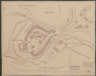 Blumenfeld um 1882