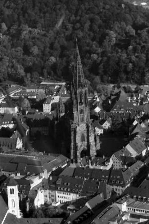 Freiburg: Münster, von Westen