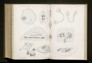 Taf. 18