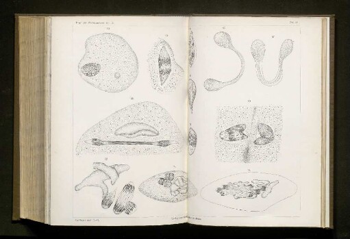 Taf. 18