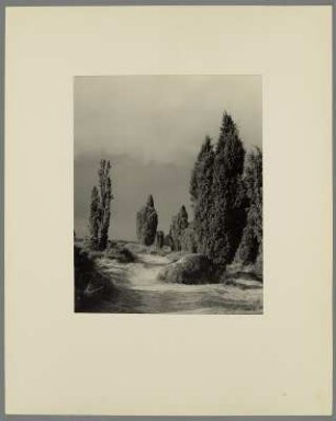 Landschaft mit Laubbäumen