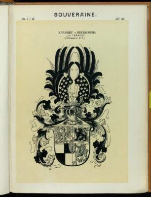 Taf. 113. Markgraf v. Brandenburg "in Franken." (n.d. Ansbacher W.-B.)