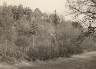 Nedaschütz bei Göda. Westansicht des Burgwalles (Rückseite)