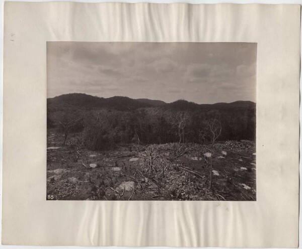 "Paysage du temple. Vue vers S 30° O".