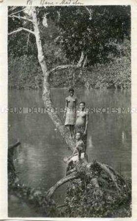 Drei Frauen der Ewondo oder der Bane auf einem Baum am Flussufer des Bumba