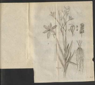 Fig. 99.