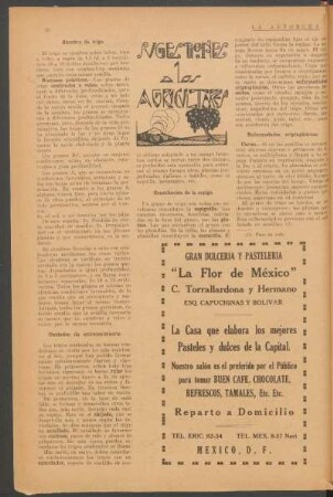 Siembra de trigo