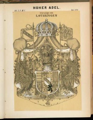 Taf. 224. Herzöge von Lothringen