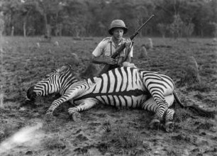 Ernst Ackermann : Portrait Ernst Ackermanns hinter einem erlegten Zebra.