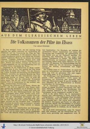 Aus dem elsässischen Leben.