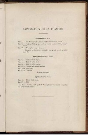 Explication De La Planche