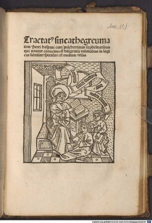 Copulata omnium tractatuum Petri Hispani etiam syncategorematum et parvorum logicalium ac trium modernorum secundum doctrinam Thomae Aquinatis cum textu : [1-3], [3]