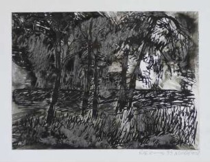 Nadelwitz