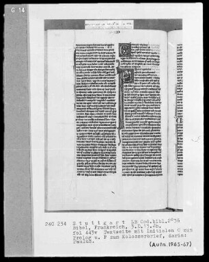 Bibel — Initiale P (aulus), darin der Apostel Paulus, Folio 443verso