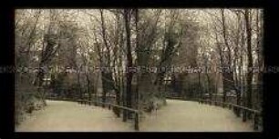 Verschneiter Weg zum Schloss Stolzenfels