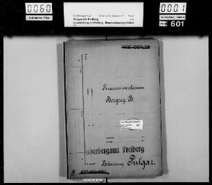 Pulgar bei Borna