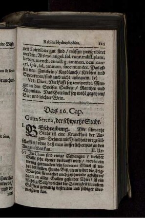 Das 16. Cap. Gutta Serena, der schwartze Stahr.