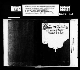 Steuerbeschreibungen und Steuerregister im Ammanamt